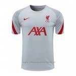 Camiseta de Entrenamiento Liverpool 2020-2021 Gris